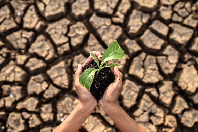 Read more about the article Climate change and agriculture